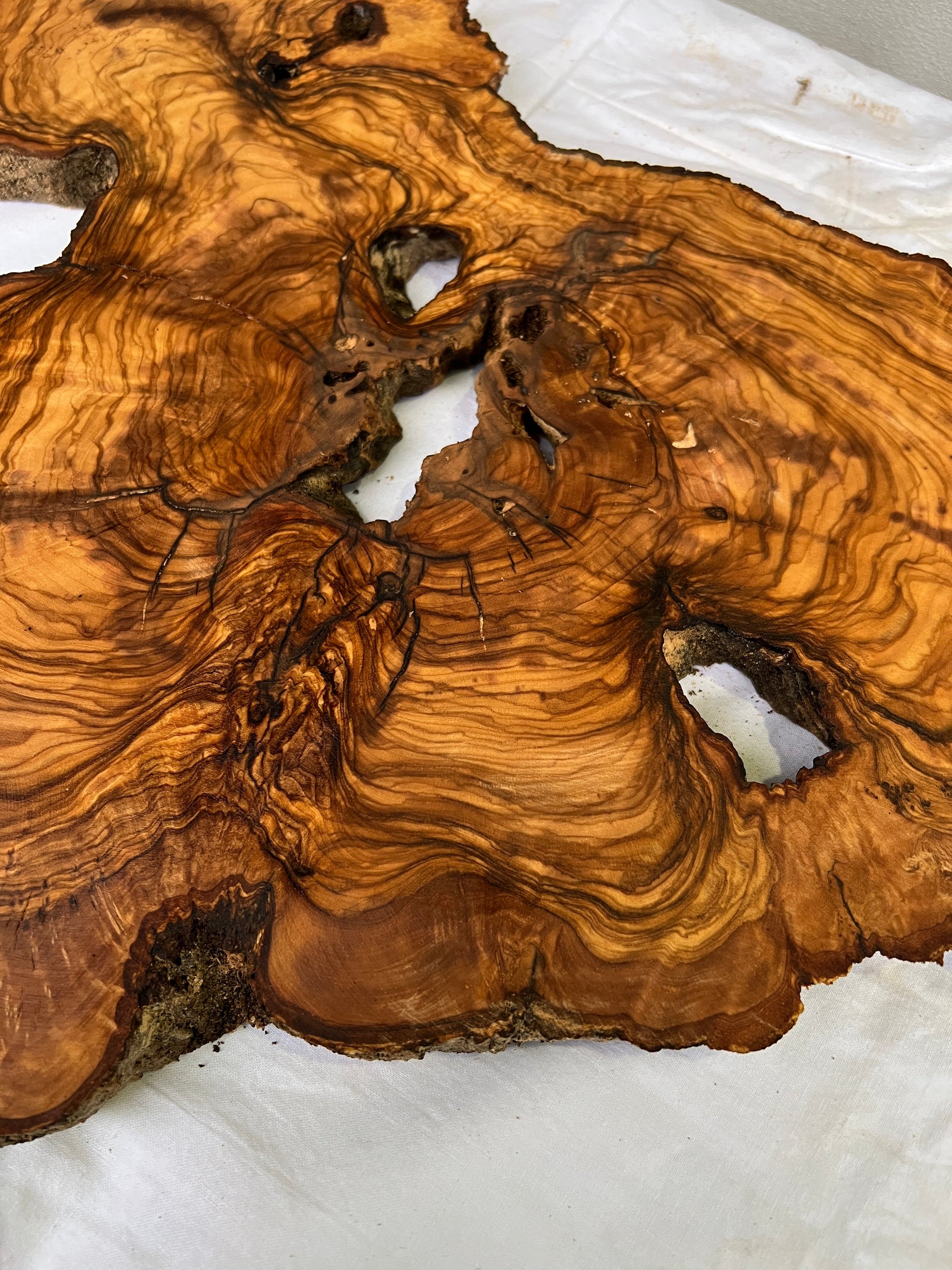 Rare Olive Wood Slab Live Edge 37x60cm | Unique Grain for Epoxy Resin & Coffee Table | Premium Luthier Wood | Sustainable Luxury Art.