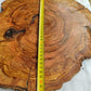 Rare Olive Wood Live Edge Slab – 39x42x2.5 cm – Unique Grain Sustainable Luxury for Epoxy & Crafts - Olive Generic