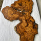 Rare Live Edge Olive Wood Slab 38x61cm - Premium Dry Luthier Lumber for Epoxy Resin Art, Coffee Tables & Unique Guitar Bodies.