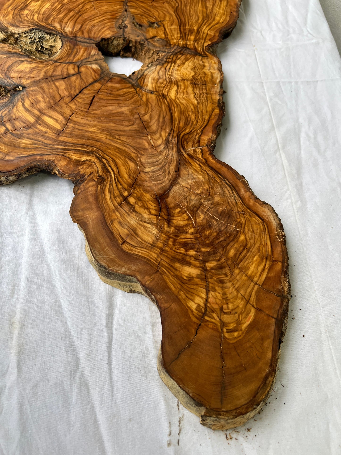 Rare Olive Wood Slab 53x30cm Live Edge for Epoxy Resin Art, Luxury Coffee Table & Clock Making | Super Dry 3% Moisture Unique Grain DIY.