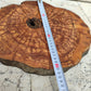 Rare Olive Wood Slab – Live Edge, Unique Grain – Sustainable Luxury for Epoxy, Table & Craft