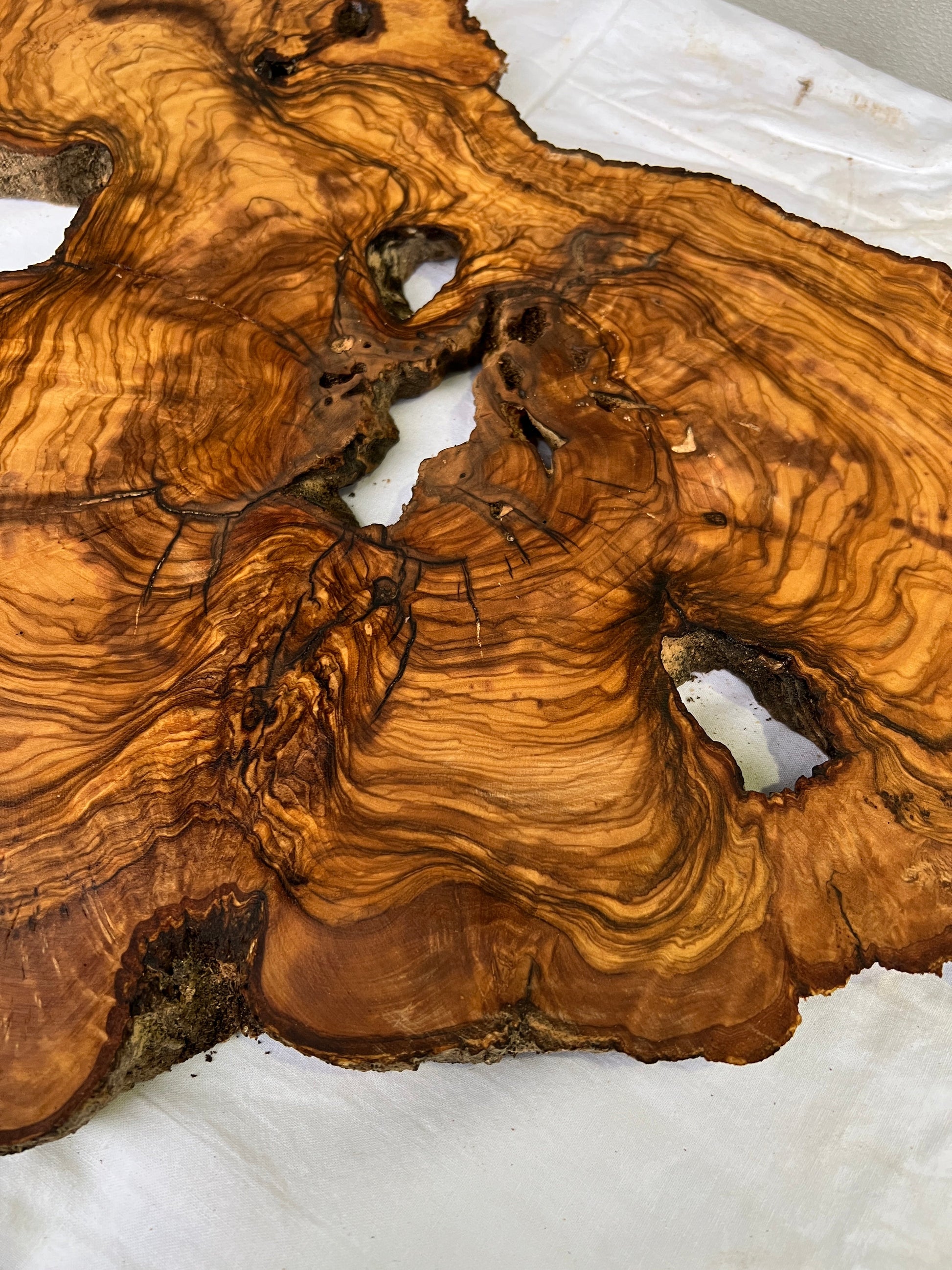 Rare Olive Wood Slab Live Edge 37x60cm | Unique Grain for Epoxy Resin & Coffee Table | Premium Luthier Wood | Sustainable Luxury Art.