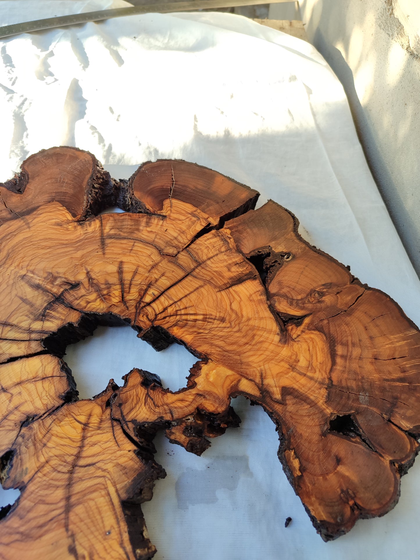 Rare Olive Wood Slab – Live Edge, Unique Grain, Sustainable Luxury – 41x43x2.5 cm