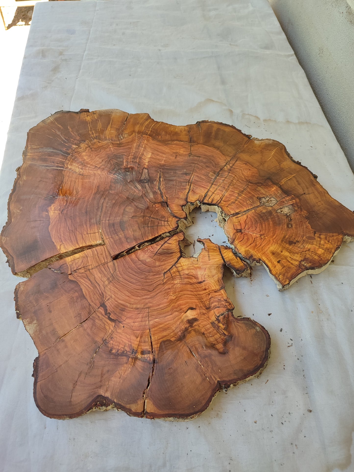 Rare Live Edge Olive Wood Slab – 37x43x2.5 cm, Natural Luster, Unique Grain, Sustainable Luxury for Epoxy & Art