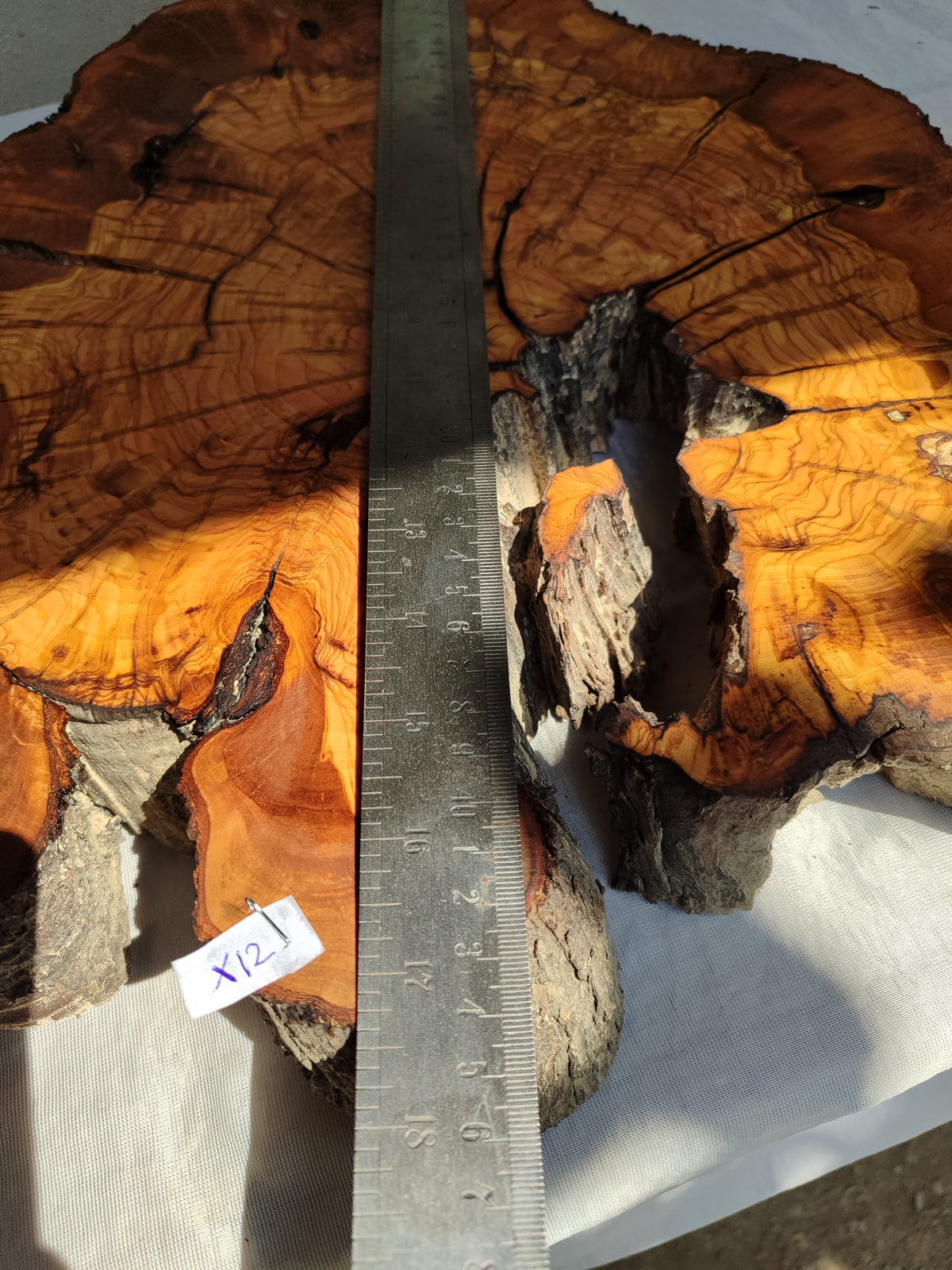 Thick Olive Wood Slab Live Edge 43x44x6cm Epoxy Statement