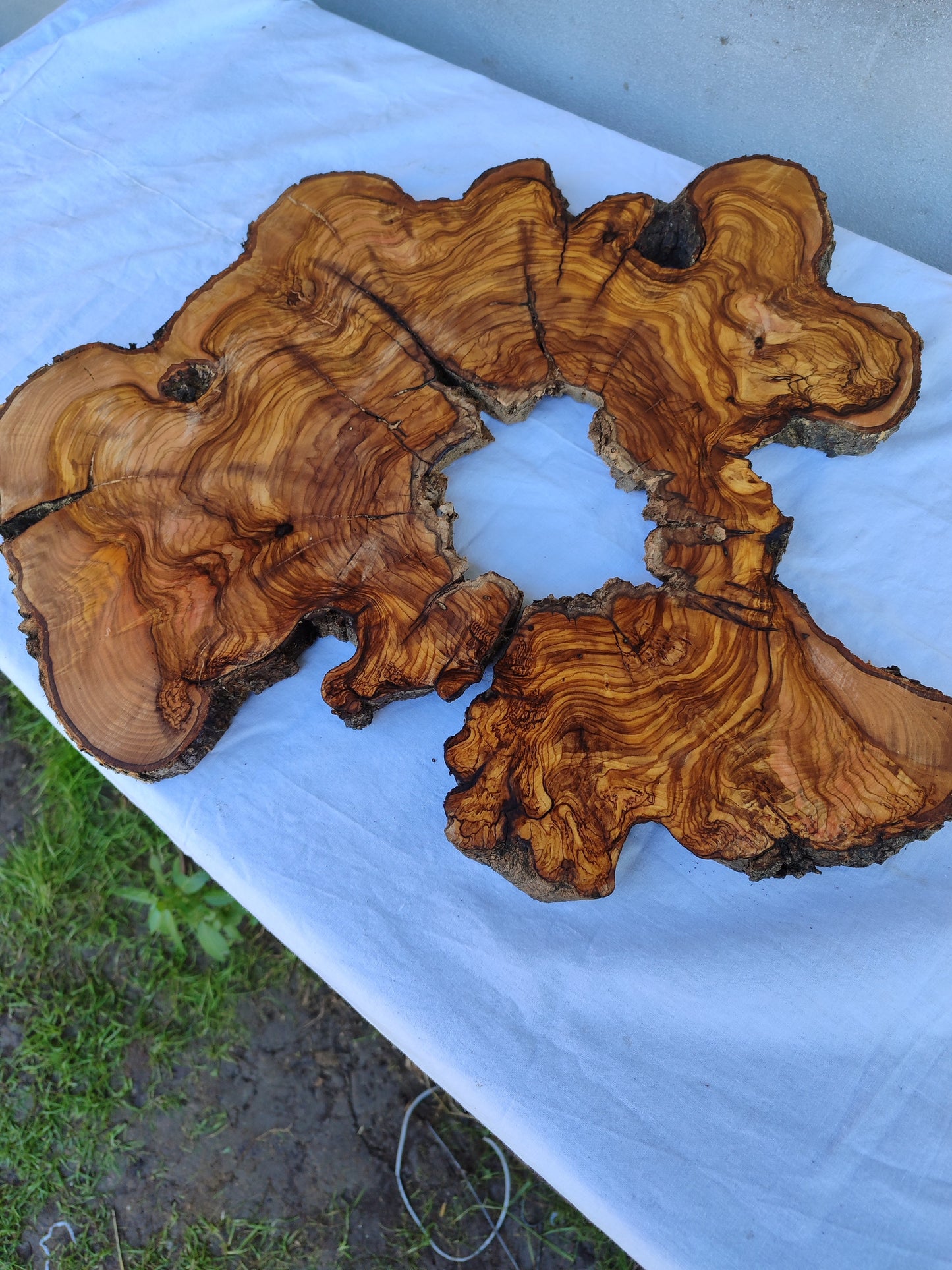 Rare Olive Wood Slab 51x51cm | Live Edge for Epoxy Resin & Coffee Table.