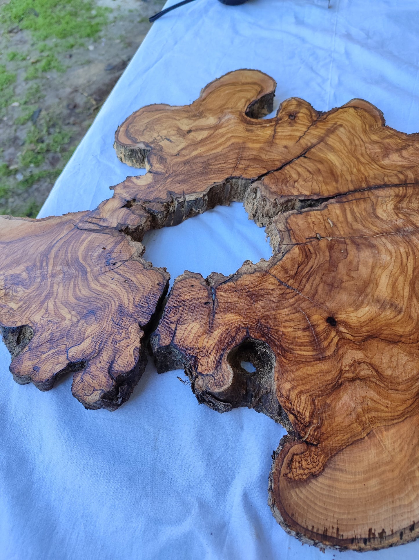 Rare Ancient Olive Wood Slab 43x53cm Live Edge Lumber for Epoxy Resin.