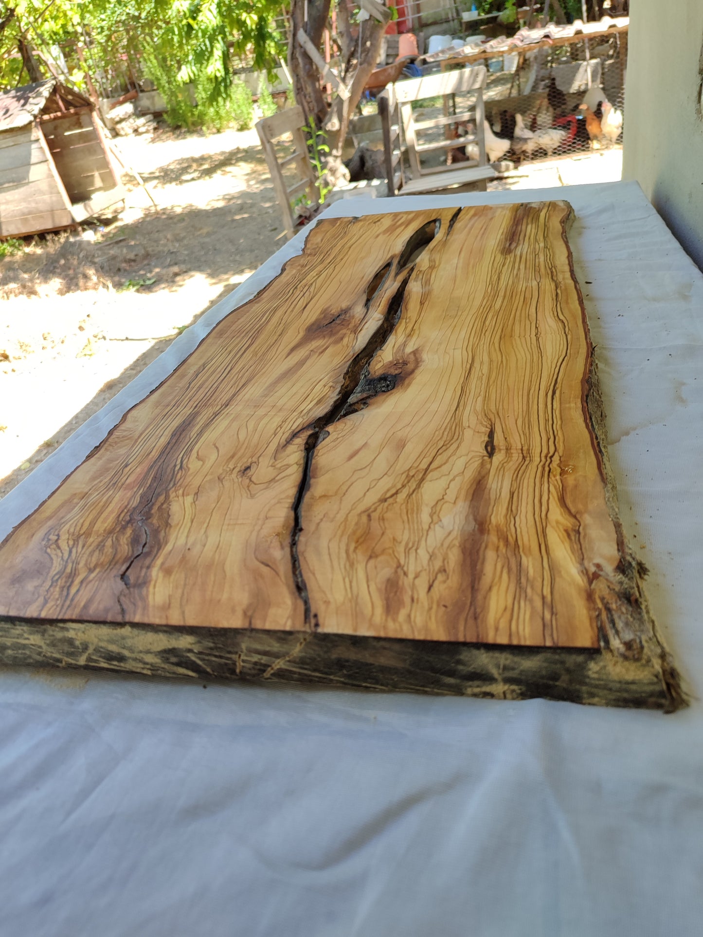 Rare Live Edge Olive Wood Slab – 33x80cm, Sustainable Luxury, Unique Grain, Natural Luster