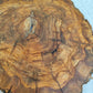Live Edge Olive Wood Slab 38x46cm Epoxy Resin Coffee Table