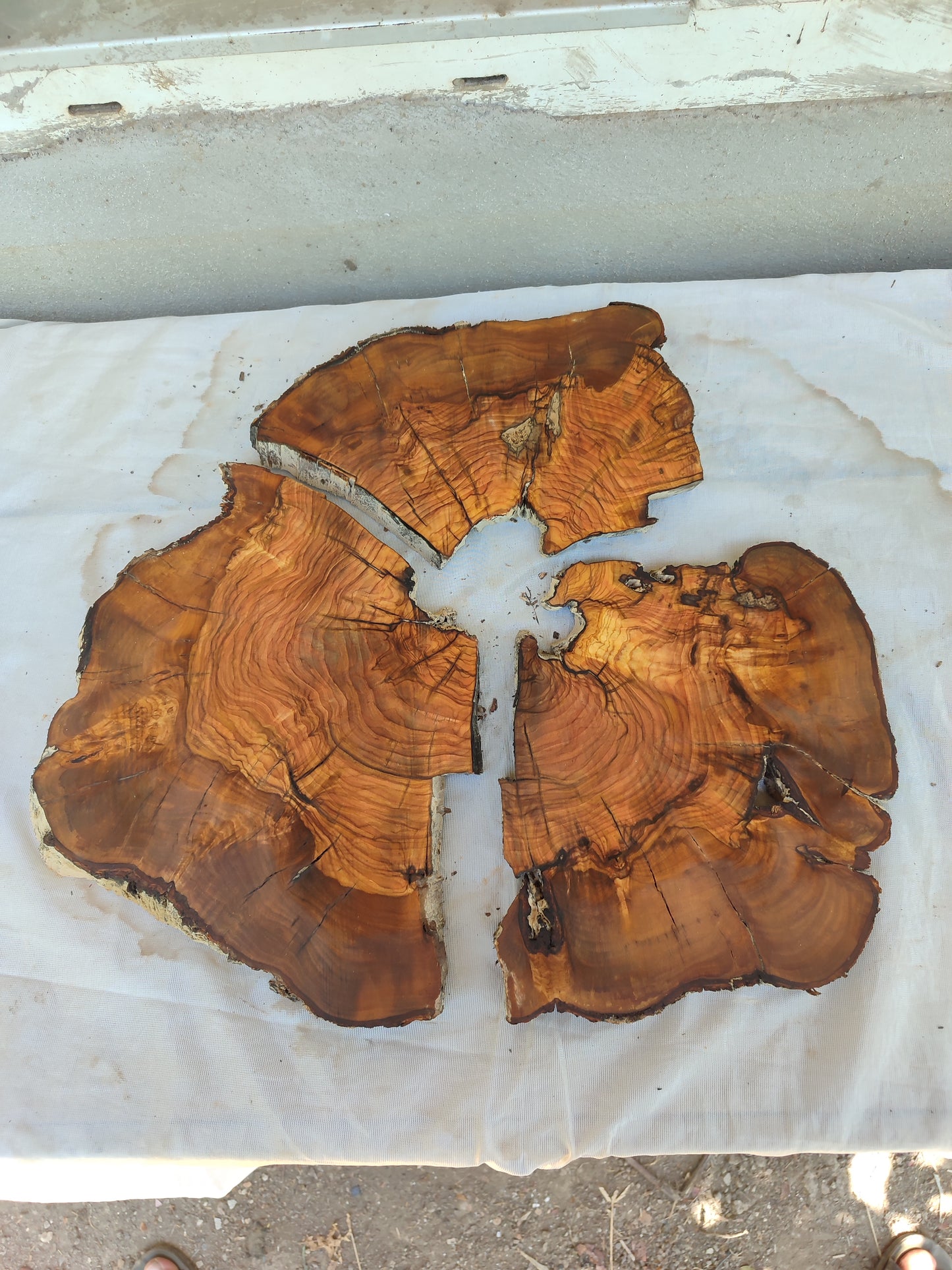 Rare Olive Wood Live Edge Slab – 37x40x2.5 cm, Unique Grain, Sustainable Luxury for Epoxy & Furniture