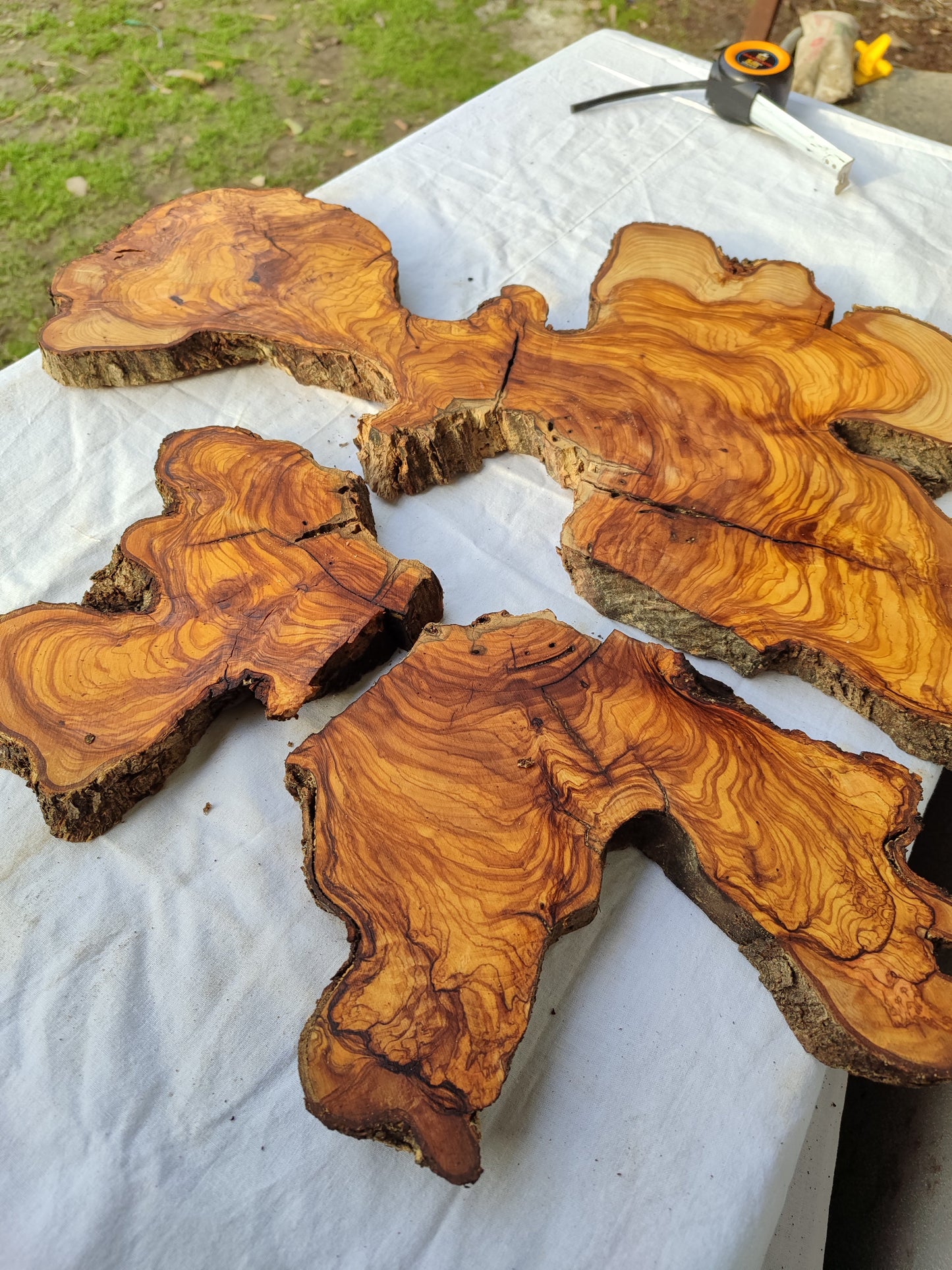 Rare Olive Wood Slab 53x55cm - Live Edge for Epoxy Resin & Coffee Table.