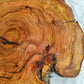 Rare Olive Wood Live Edge Slab – Unique Grain Sustainable Luxury for Epoxy Table & Craft - Olive Generic