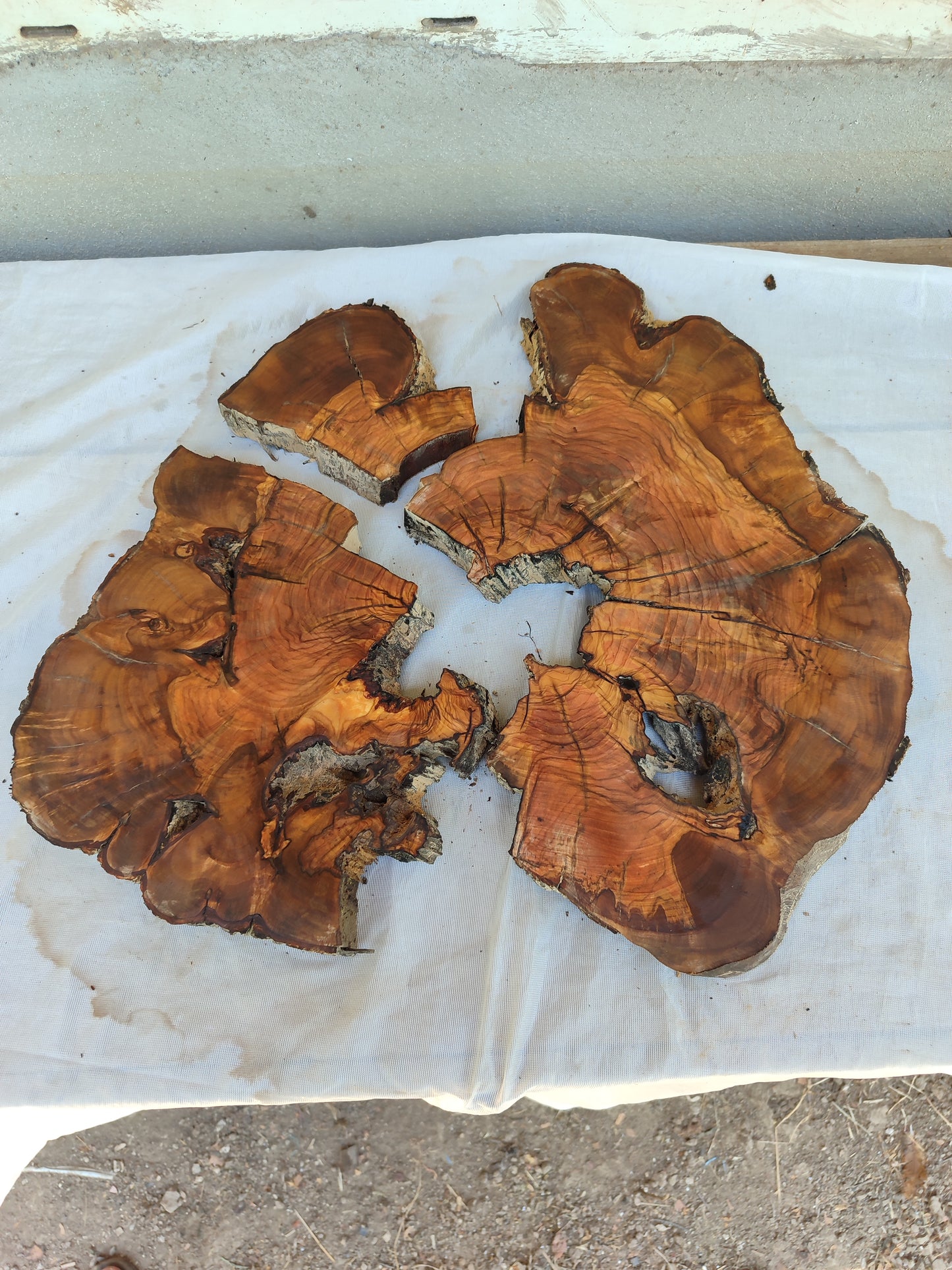Rare Olive Wood Slab – Live Edge, Unique Grain, Sustainable Luxury | 40x44x2.5 cm
