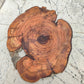 Rare Olive Wood Live Edge Slab – 32x40 cm Premium Sustainable Luxury, Unique Grain & Natural Luster