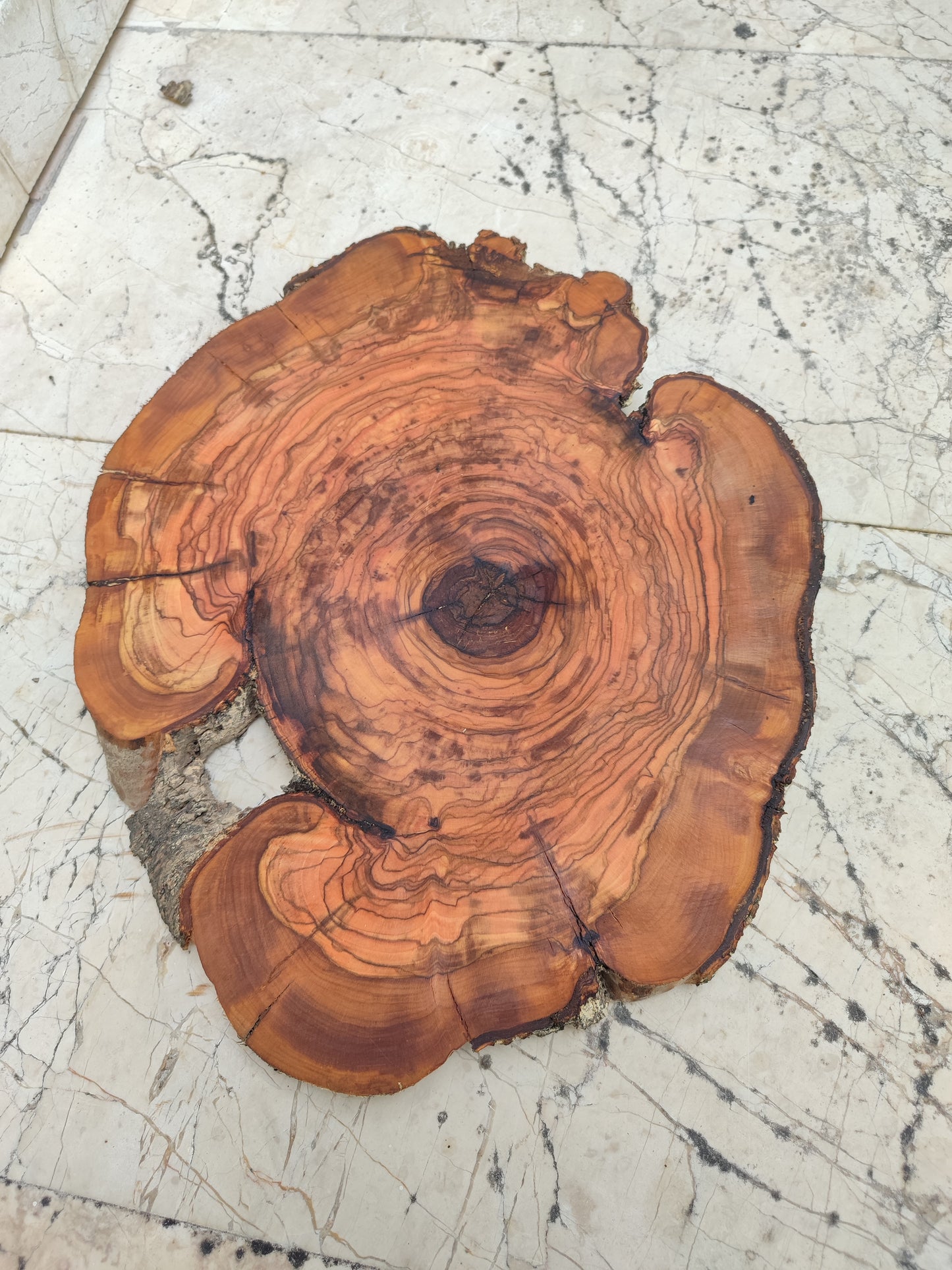 Rare Olive Wood Live Edge Slab – 32x40 cm Premium Sustainable Luxury, Unique Grain & Natural Luster