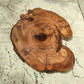 Rare Olive Wood Live Edge Slab – 31x40cm Premium Sustainable Luxury, Unique Grain, Natural Luster, Epoxy Friendly