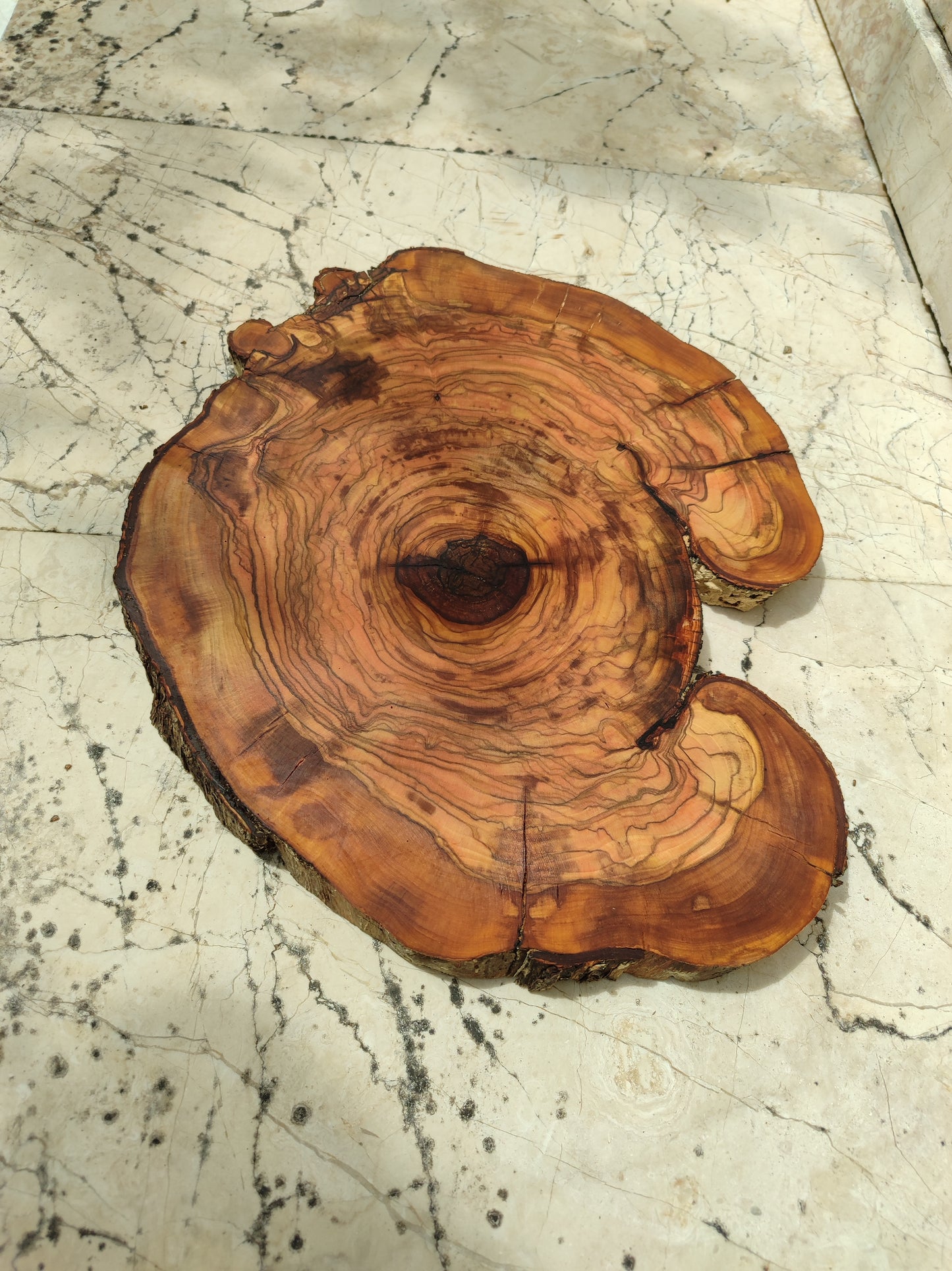 Rare Olive Wood Live Edge Slab – 31x40cm Premium Sustainable Luxury, Unique Grain, Natural Luster, Epoxy Friendly