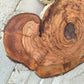 Rare Olive Wood Slab – Live Edge Unique Grain, Sustainable Luxury, 32x40x2.5cm