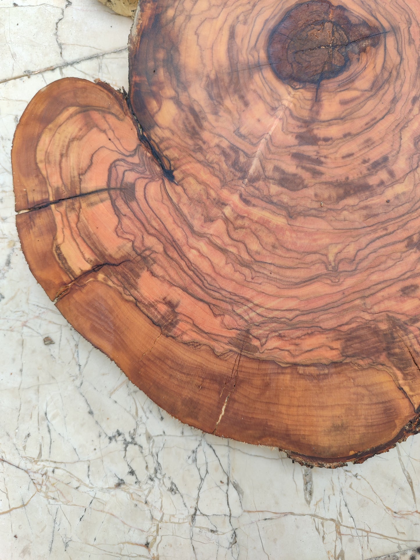 Rare Live Edge Olive Wood Slab – 33x40cm, Unique Grain, Natural Luster, Sustainable Luxury for Epoxy & Crafts