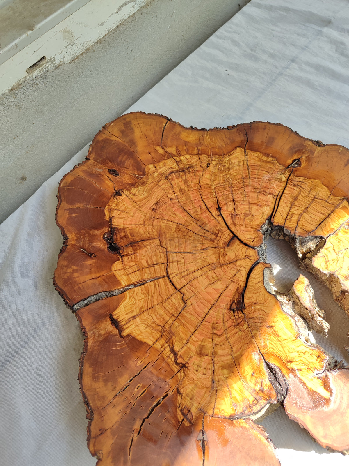 Thick Olive Wood Slab Live Edge 43x44x6cm Epoxy Statement