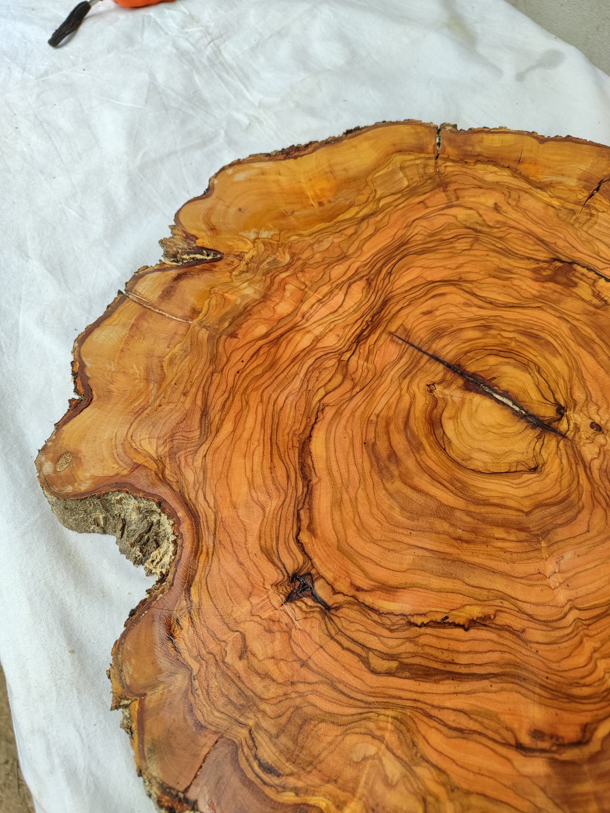 Rare Olive Wood Slab – Live Edge Unique Grain Sustainable Luxury – 39x43x2.5cm Premium Natural Luster Epoxy Friendly