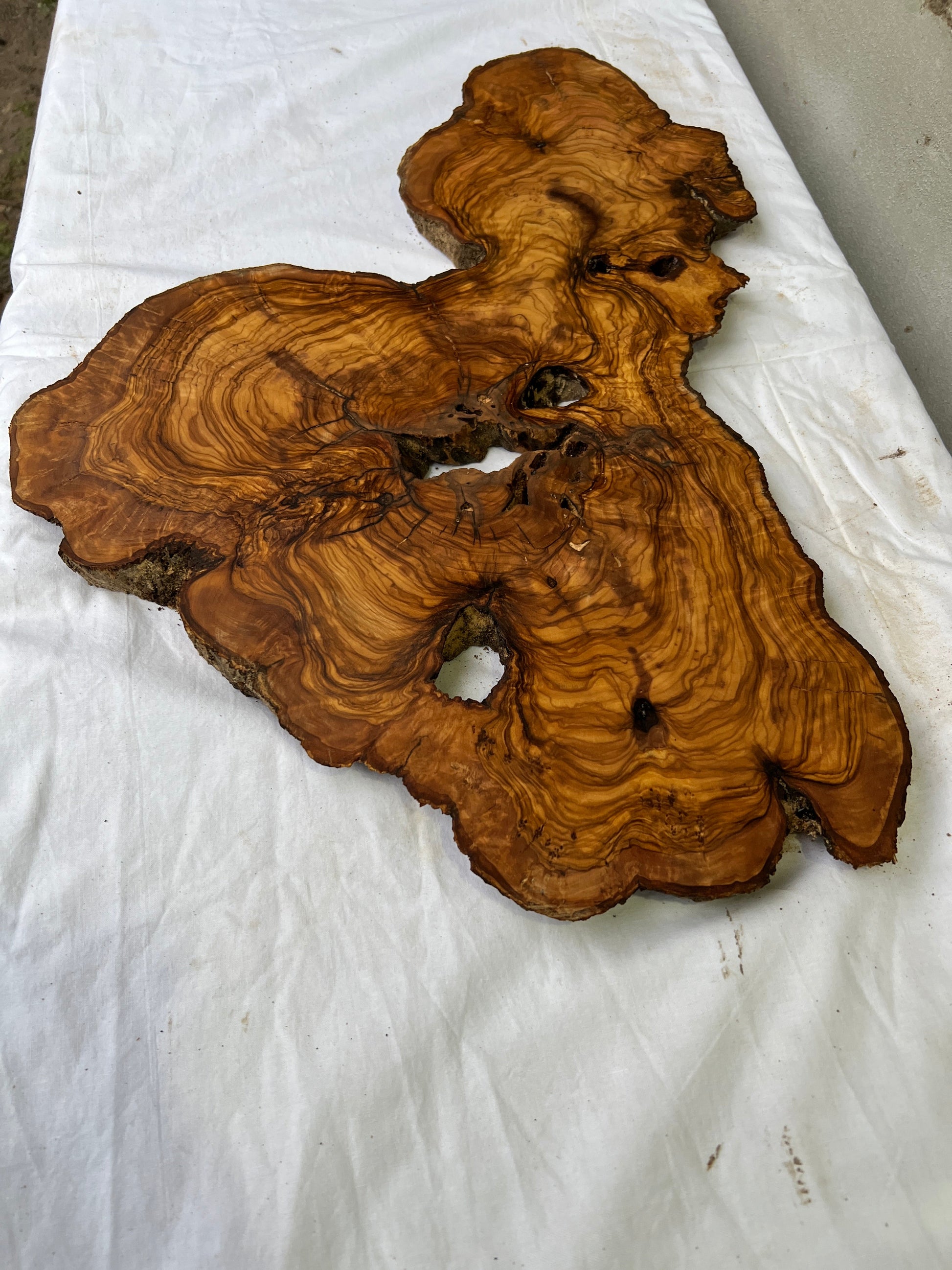 Rare Olive Wood Slab Live Edge 37x60cm | Unique Grain for Epoxy Resin & Coffee Table | Premium Luthier Wood | Sustainable Luxury Art.