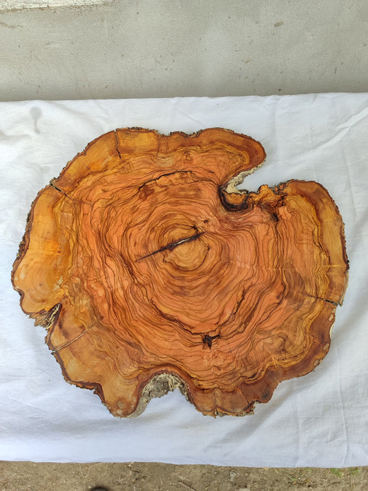 Rare Olive Wood Slab – Live Edge Unique Grain Sustainable Luxury – 39x43x2.5cm Premium Natural Luster Epoxy Friendly