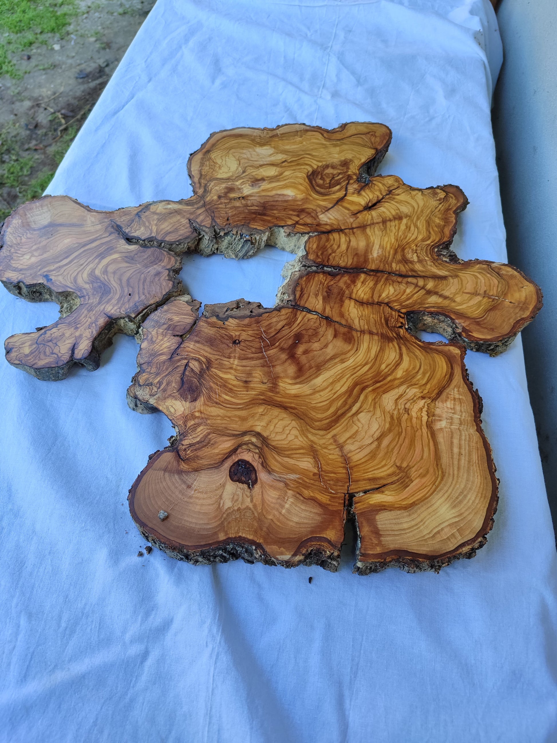 Rare 300yr Old Olive Wood Slab | Huge Live Edge for Epoxy Resin | Super Dry Unique Grain | Luthier Guitar Body & Clock Base | Luxury DIY.