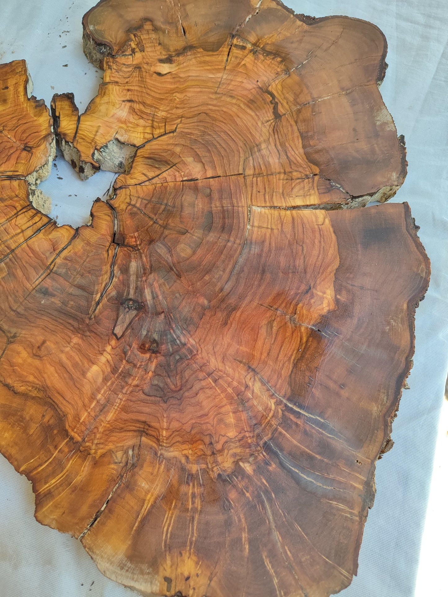 Rare Live Edge Olive Wood Slab – 37x43x2.5 cm, Natural Luster, Unique Grain, Sustainable Luxury for Epoxy & Art