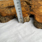 Rare Live Edge Olive Wood Slab 38x61cm - Premium Dry Luthier Lumber for Epoxy Resin Art, Coffee Tables & Unique Guitar Bodies.