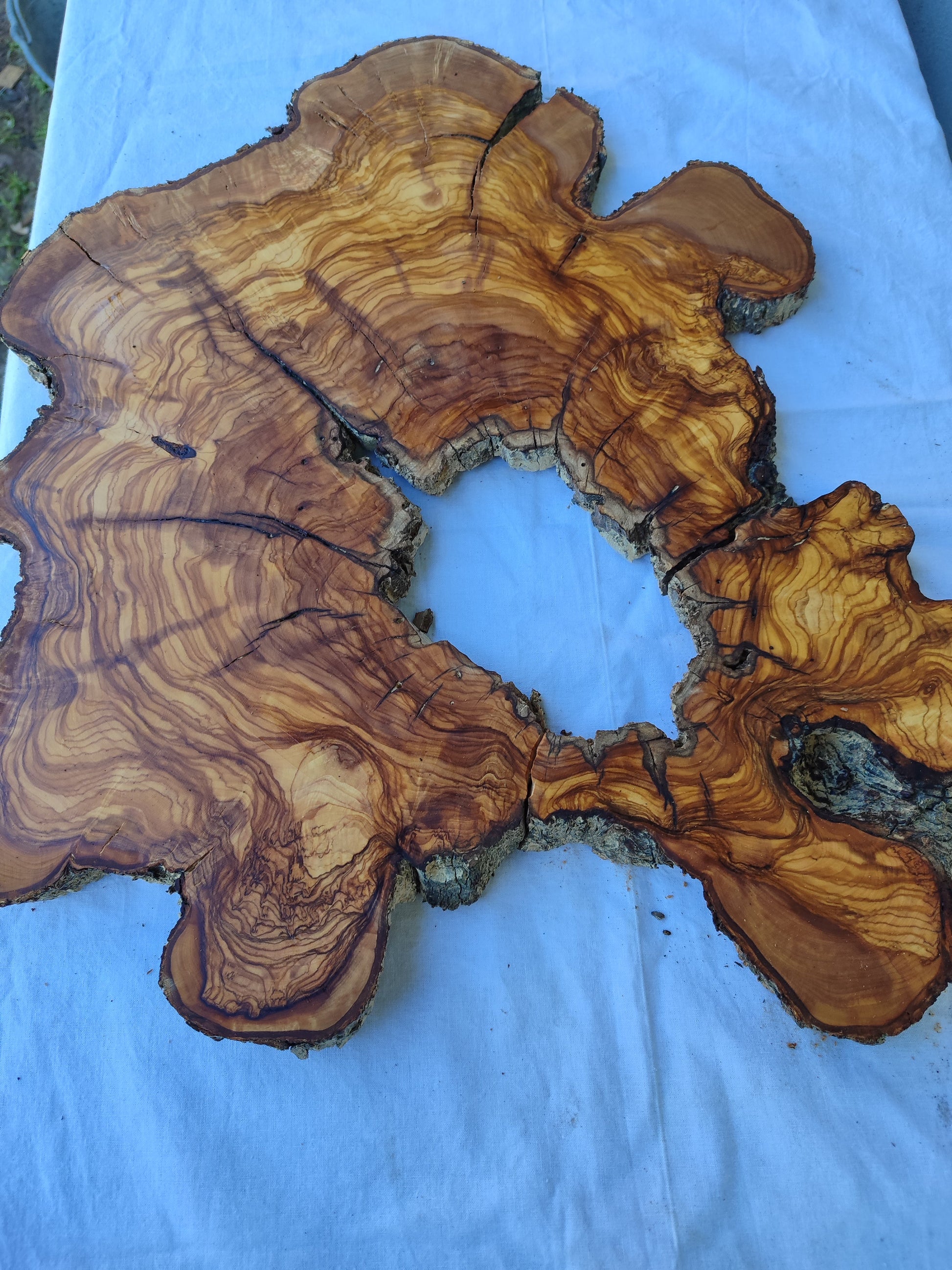 Rare Huge Live Edge Olive Wood Burl Slab 48x52cm - Premium Dry Exotic Lumber for Epoxy Resin Art, Guitar Body & Luxury Coffee Table DIY.