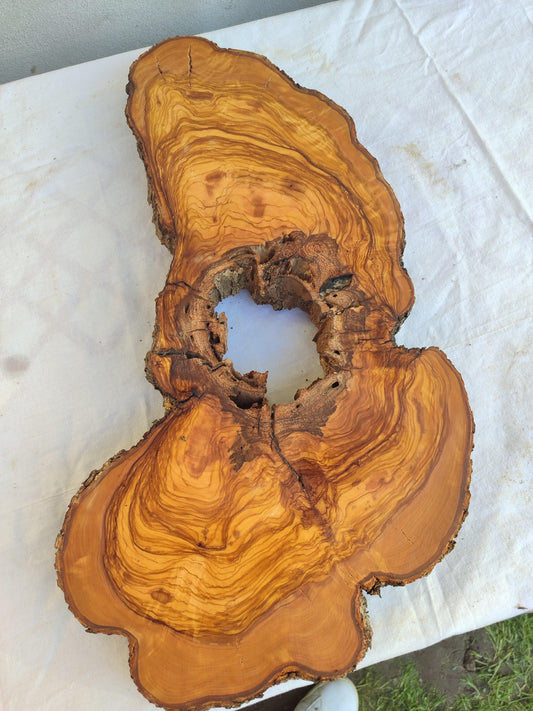 200+ Year Old Olive Wood Slab | Live Edge Olive Wood Slice with Natural Void for Epoxy Art.