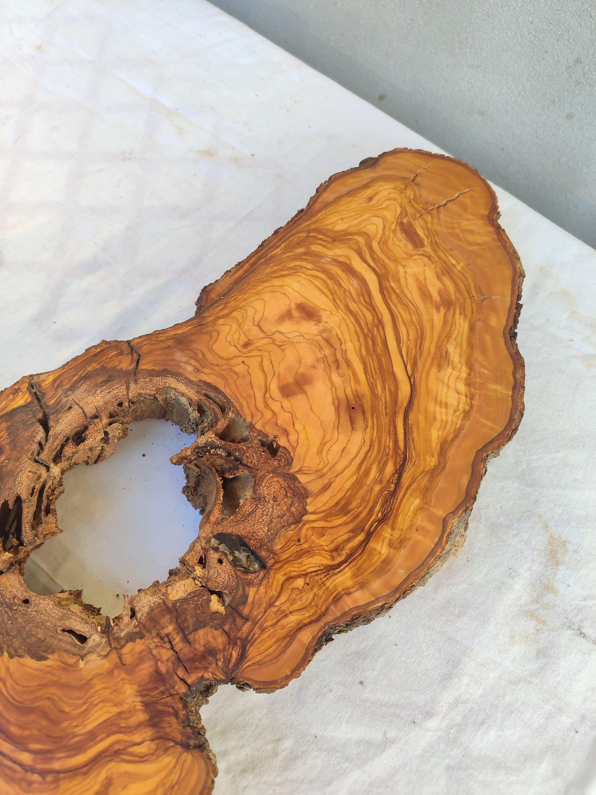 200+ Year Old Olive Wood Slab | Live Edge Olive Wood Slice with Natural Void for Epoxy Art.