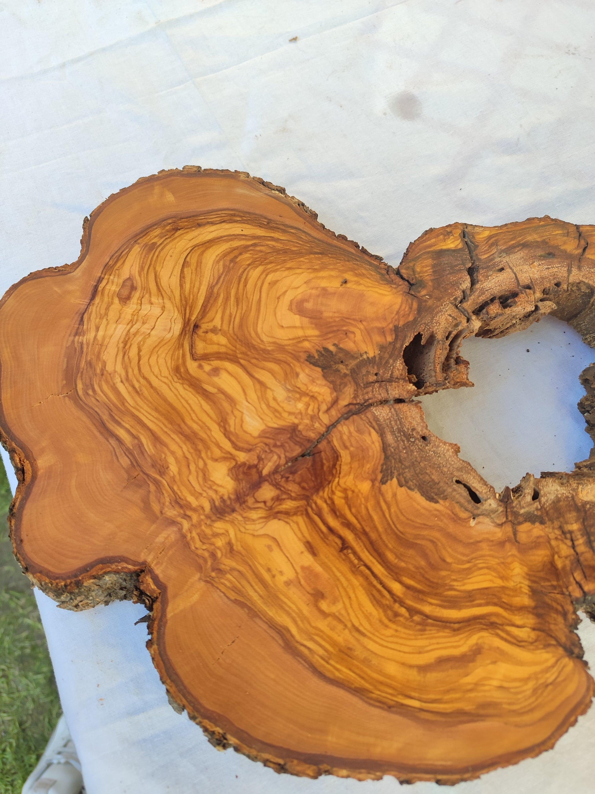 200+ Year Old Olive Wood Slab | Live Edge Olive Wood Slice with Natural Void for Epoxy Art.