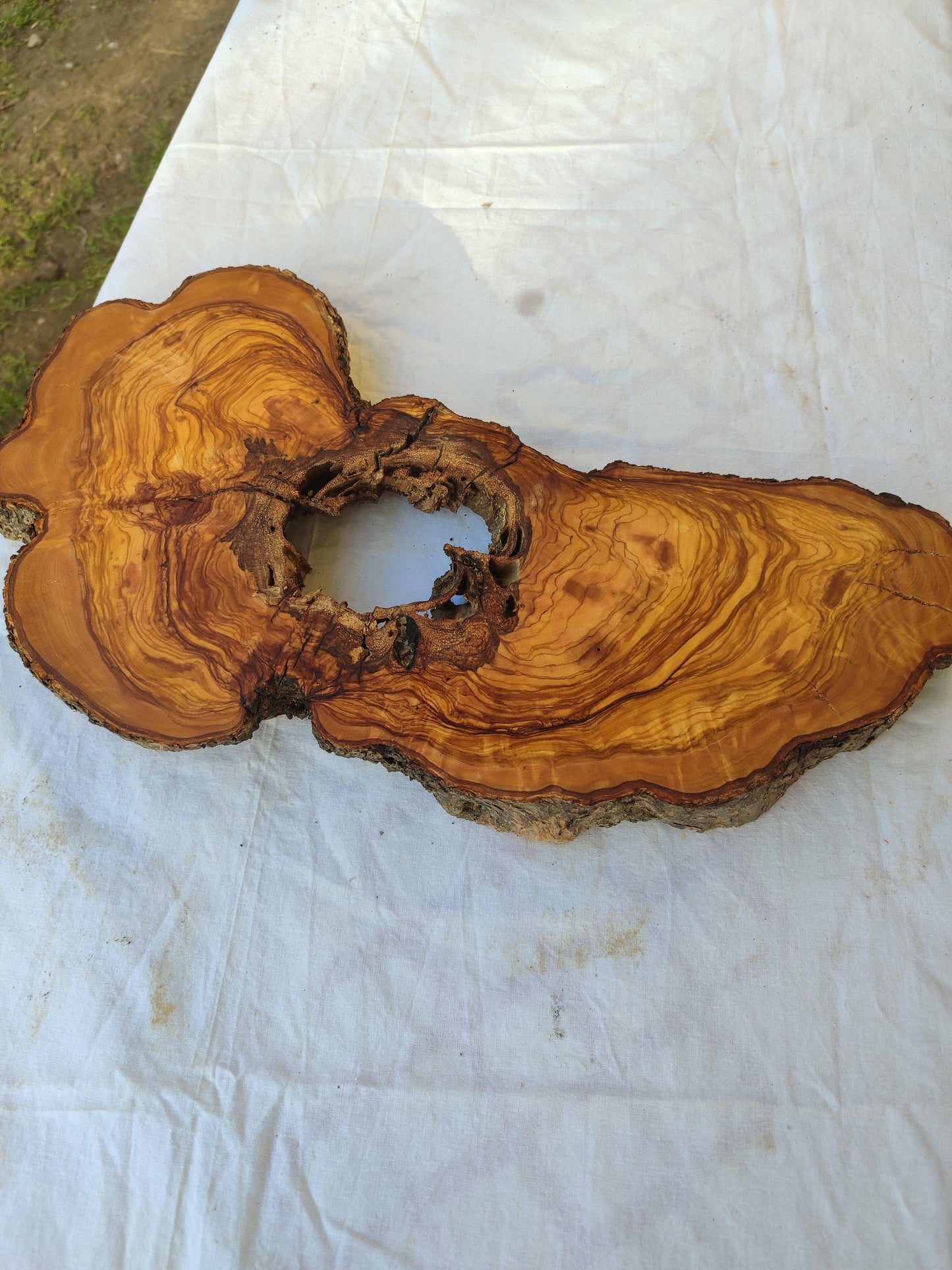 200+ Year Old Olive Wood Slab | Live Edge Olive Wood Slice with Natural Void for Epoxy Art.