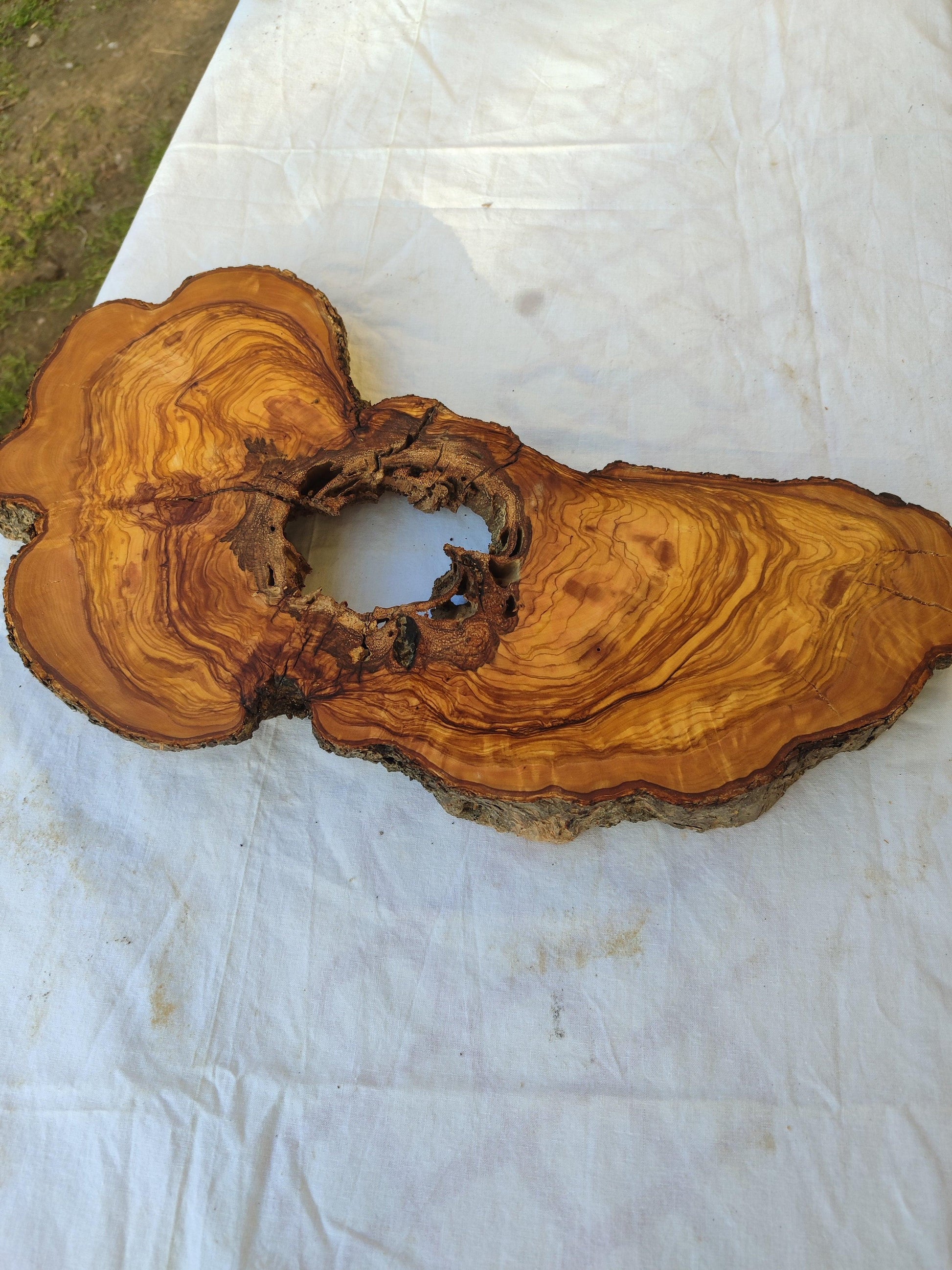200+ Year Old Olive Wood Slab | Live Edge Olive Wood Slice with Natural Void for Epoxy Art.