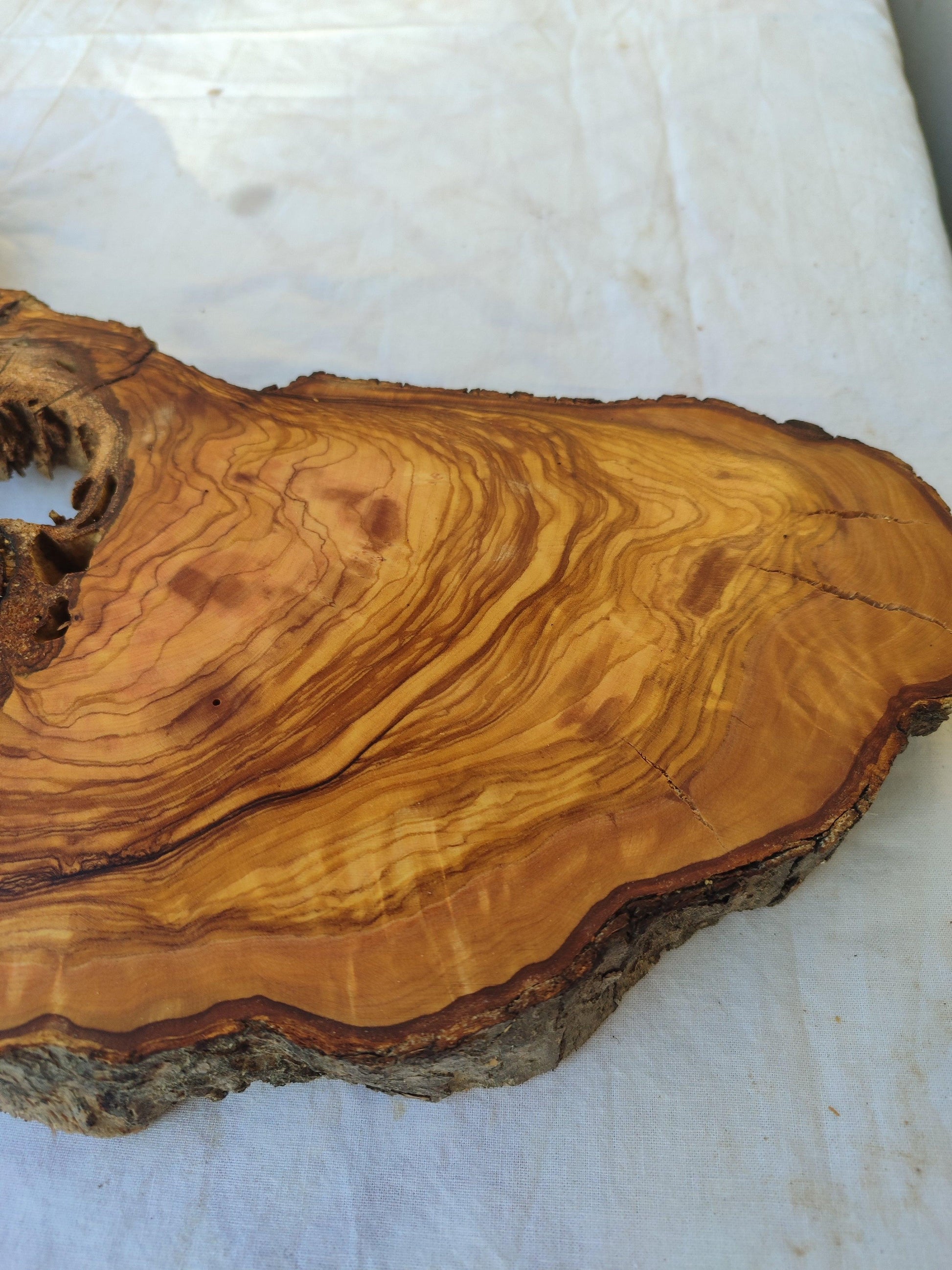 200+ Year Old Olive Wood Slab | Live Edge Olive Wood Slice with Natural Void for Epoxy Art.