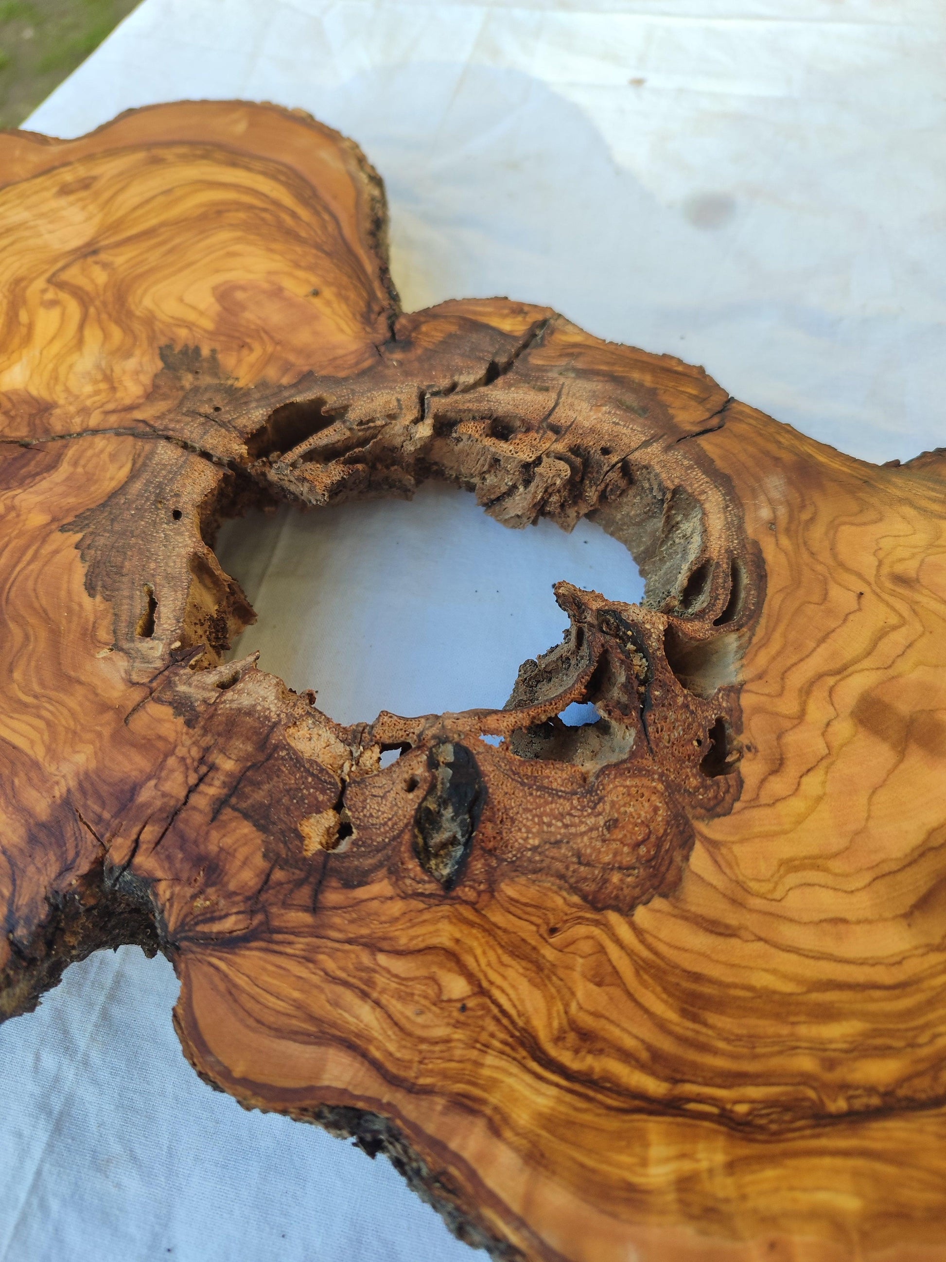 200+ Year Old Olive Wood Slab | Live Edge Olive Wood Slice with Natural Void for Epoxy Art.