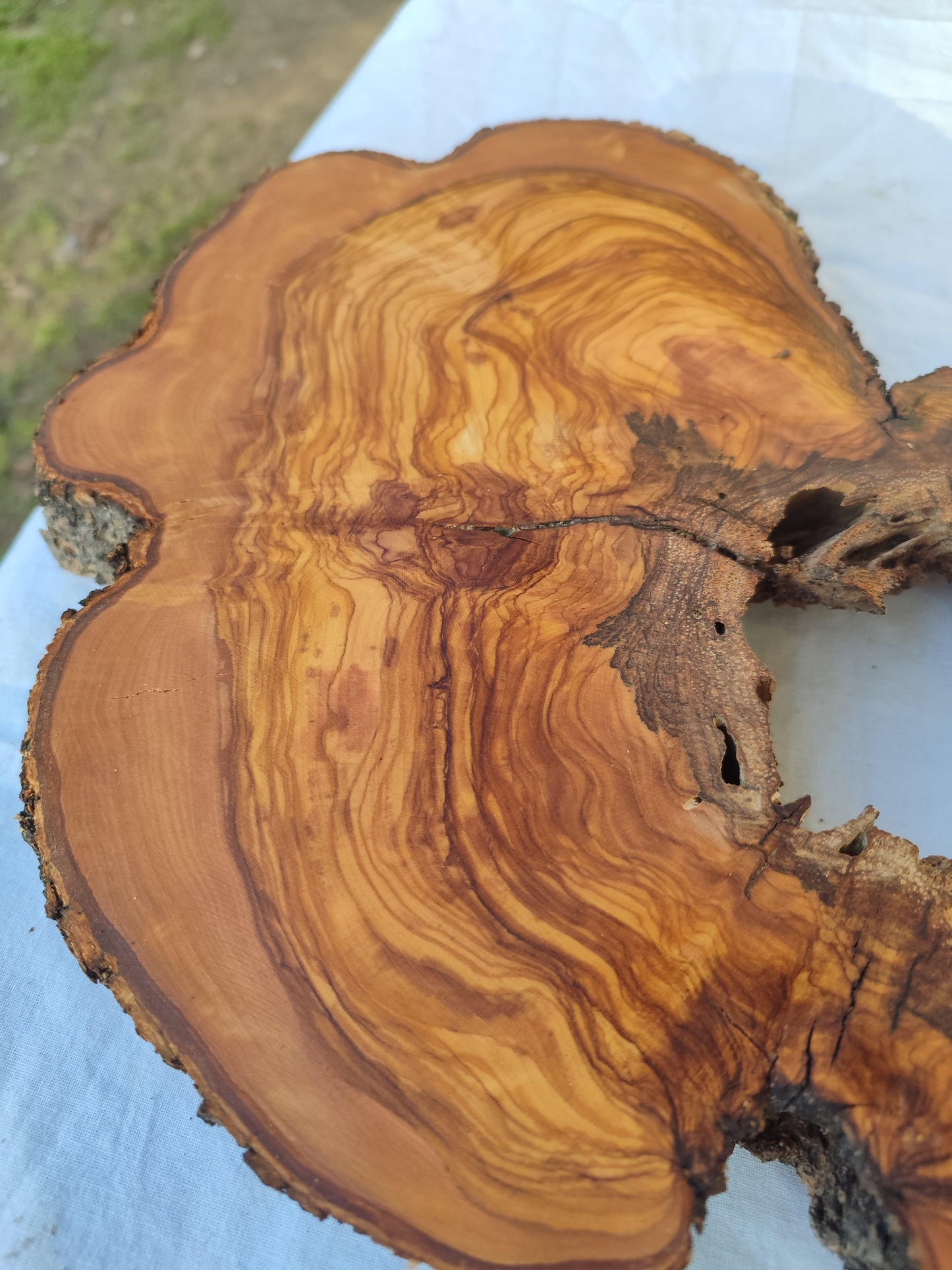 200+ Year Old Olive Wood Slab | Live Edge Olive Wood Slice with Natural Void for Epoxy Art.