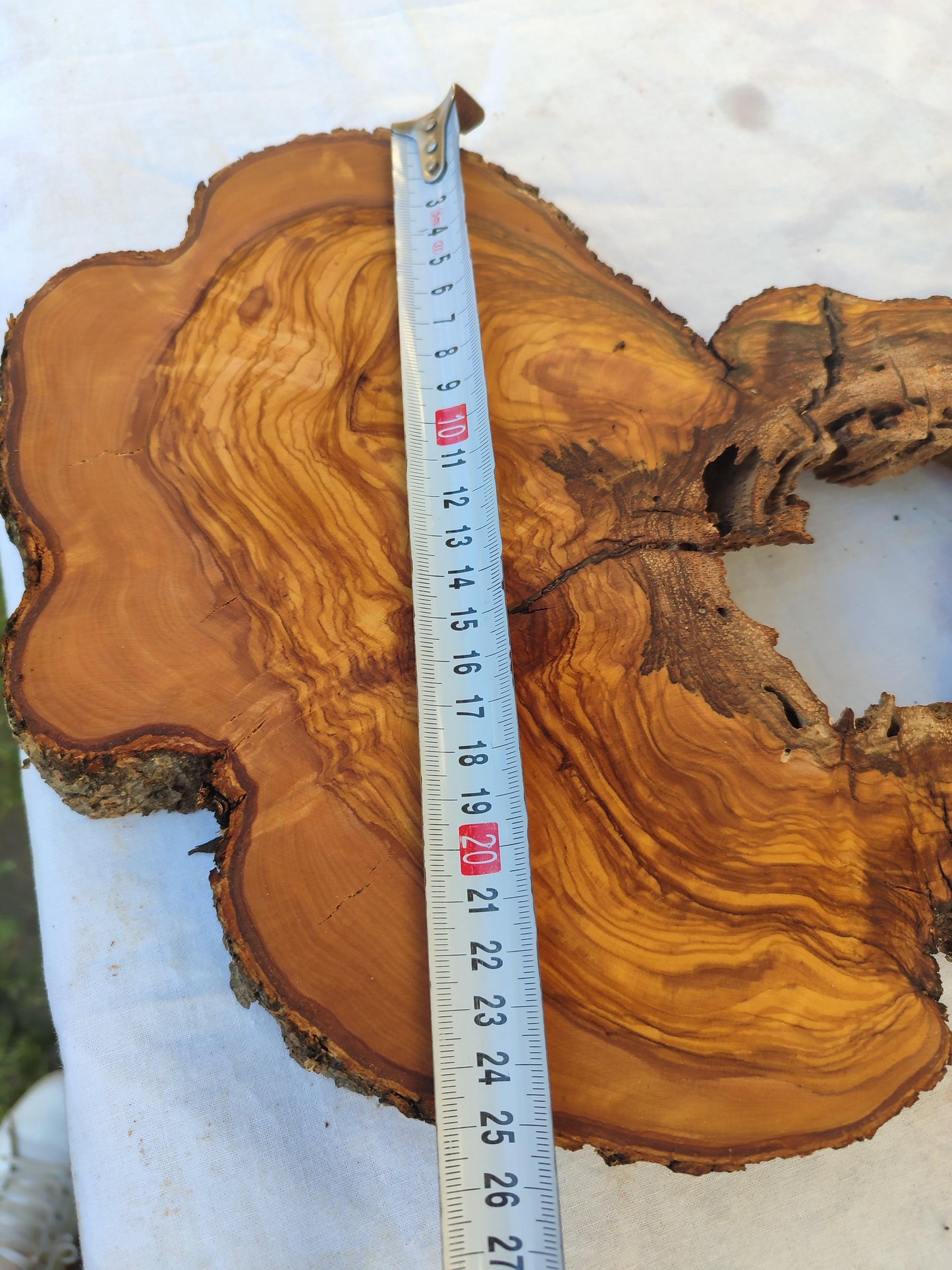 200+ Year Old Olive Wood Slab | Live Edge Olive Wood Slice with Natural Void for Epoxy Art.
