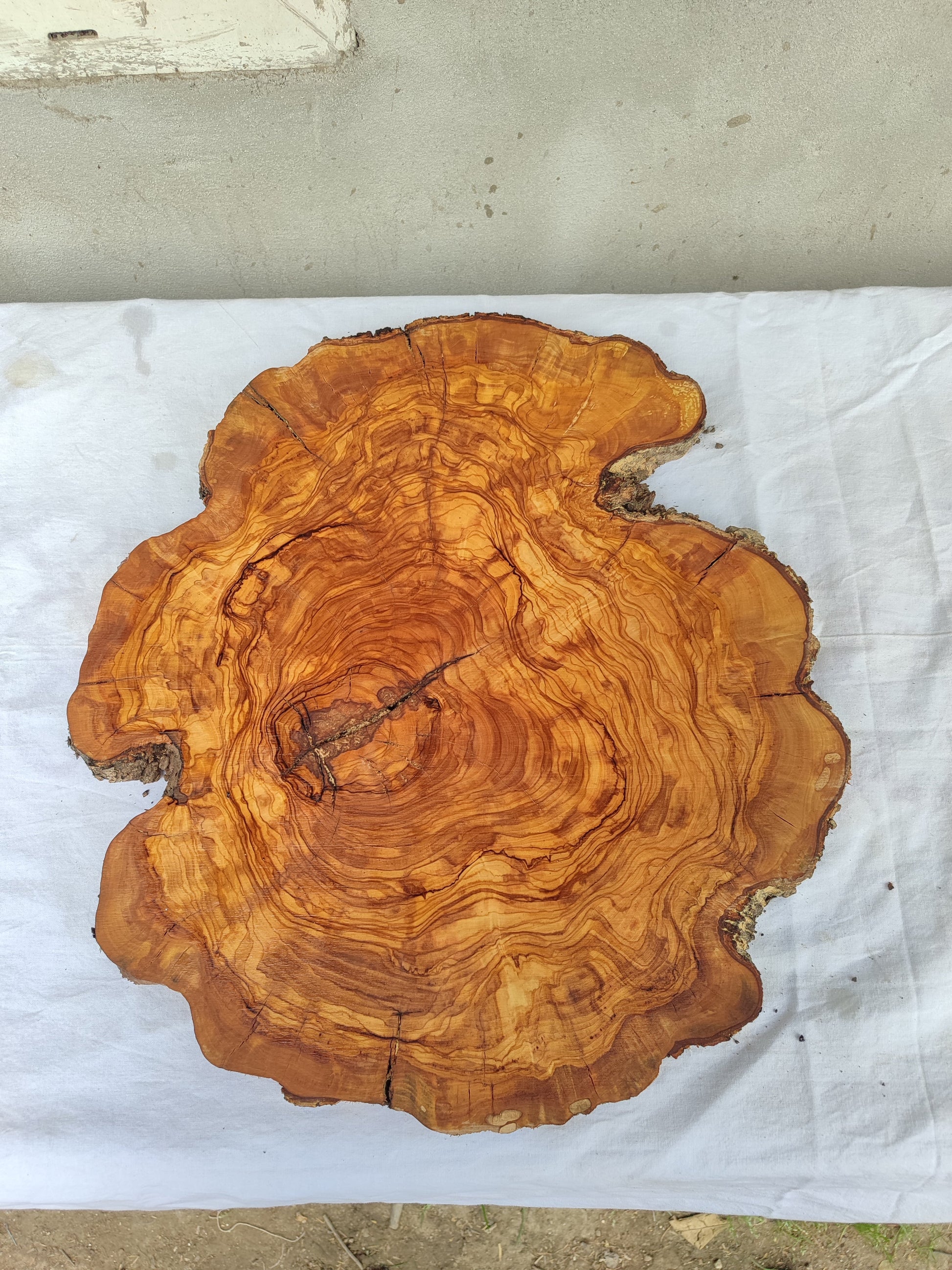 Rare Olive Wood Live Edge Slab – 40x44x2.5cm Unique Grain Sustainable Luxury - Olive Generic