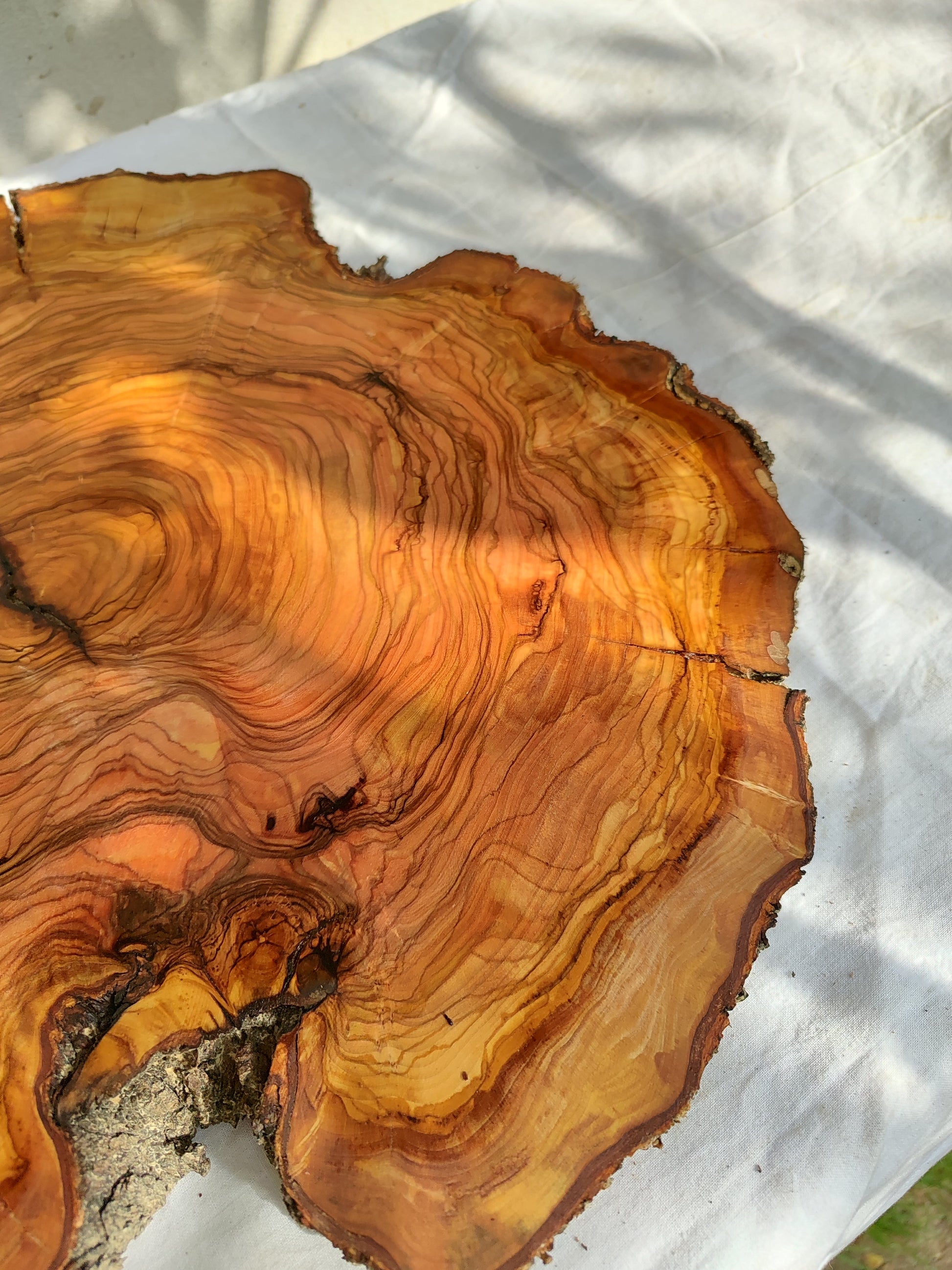 Rare Olive Wood Live Edge Slab – Unique Grain Sustainable Luxury for Epoxy Table & Craft - Olive Generic