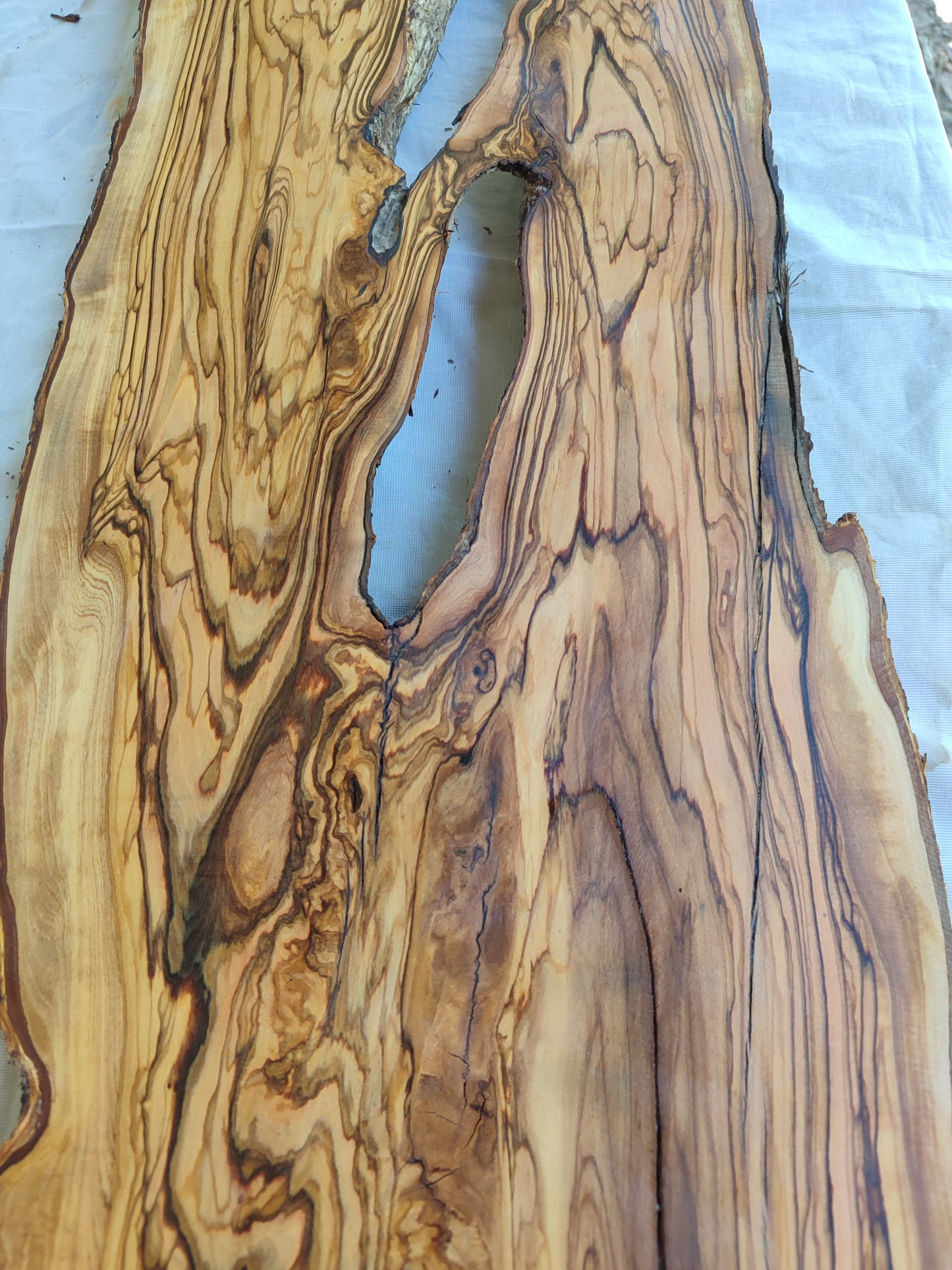 Rare Live Edge Olive Wood Slab – Unique Grain, Sustainable Luxury for Epoxy, Table & Crafts