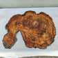 Live Edge Olive Wood Slab 38x46cm Epoxy Resin Coffee Table