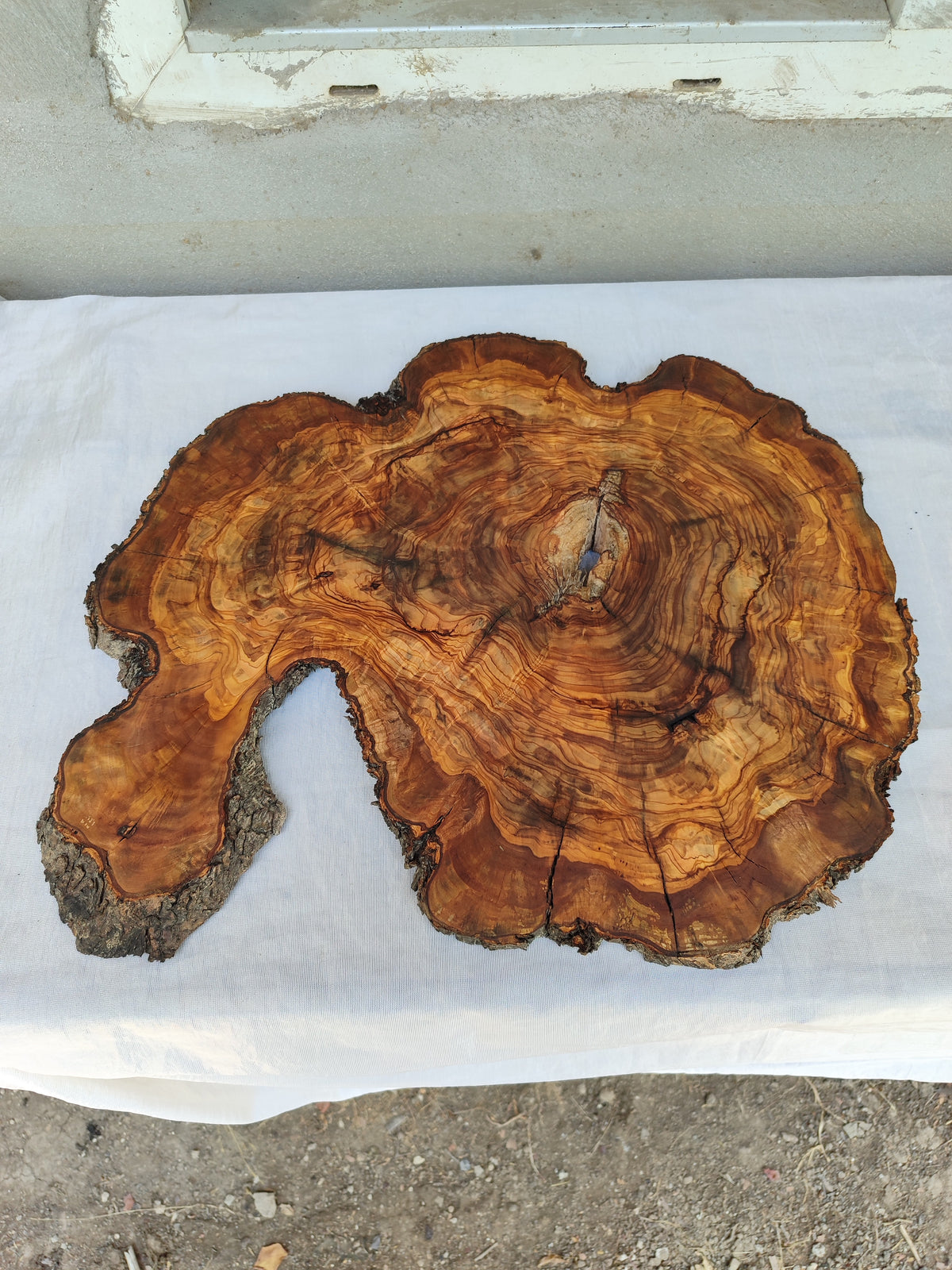 Live Edge Olive Wood Slab 38x46cm Epoxy Resin Coffee Table