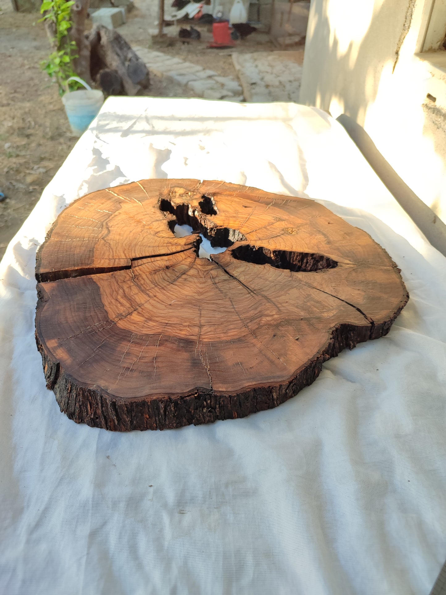 Rare Olive Wood Slab – Live Edge, Unique Grain, Sustainable Luxury for Epoxy & Artisan Crafts (37x37x2.5 cm)