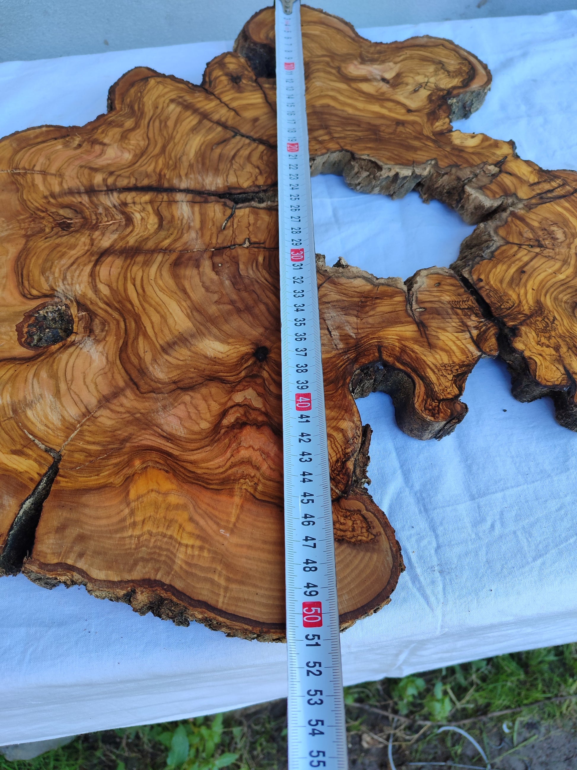 Rare Olive Wood Slab 51x51cm | Live Edge for Epoxy Resin & Coffee Table.