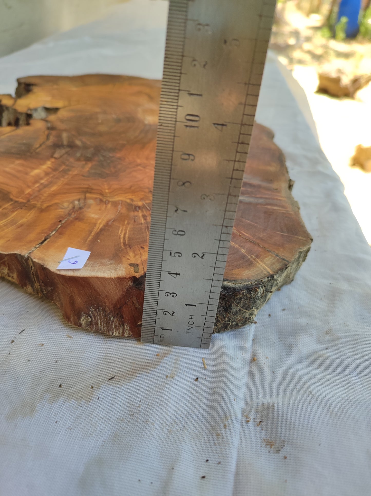 Rare Live Edge Olive Wood Slab – 37x43x2.5 cm, Natural Luster, Unique Grain, Sustainable Luxury for Epoxy & Art