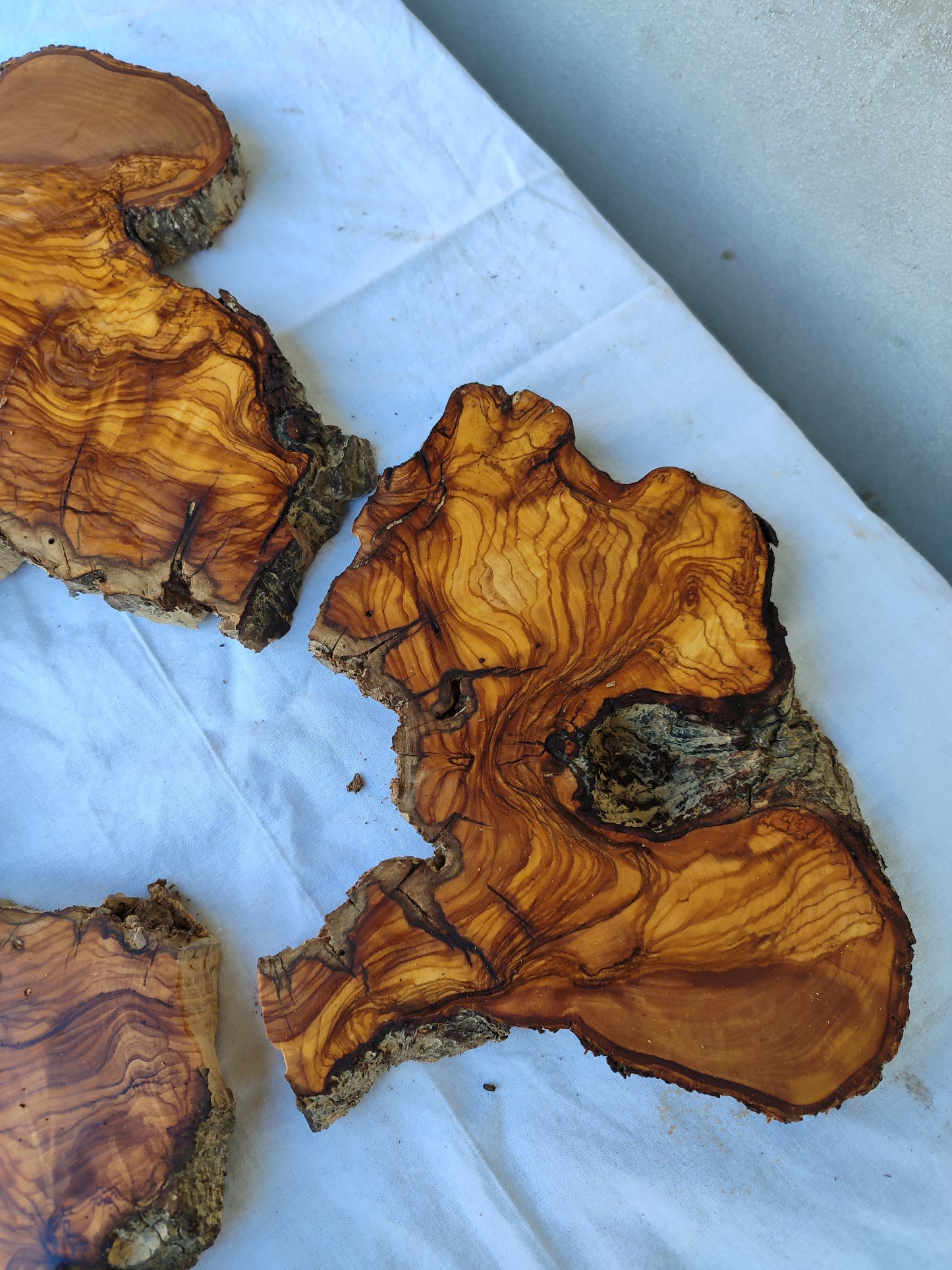 Rare Huge Live Edge Olive Wood Burl Slab 48x52cm - Premium Dry Exotic Lumber for Epoxy Resin Art, Guitar Body & Luxury Coffee Table DIY.
