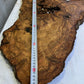 Rare Live Edge Olive Wood Slab 41x65cm | Unique Grain for Epoxy Resin, Luthier & Luxury Decor | Sustainable Premium DIY Material.